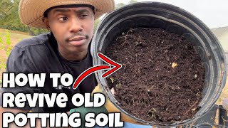 How to Reuse Old Potting Soil [upl. by Navar44]