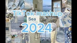 TikTok mashup 2024NOT CLEANtiktokmashup dances viral song 2024 mashup edit frypシ [upl. by Bruning]