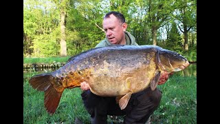 Carp Fishing  Belgium Canal Carp 5315lbs24kgs  Kanaalvissen [upl. by Nanaek]