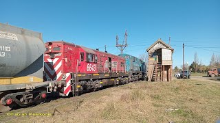 Ferroexpreso Pampeano en Bolivar 27Jul24 [upl. by Eisteb]