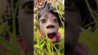 hello Tange Tange 🤣। hello baby। I love you Tange Tange 🤣 funny viral comedy african shorts [upl. by Aeresed226]