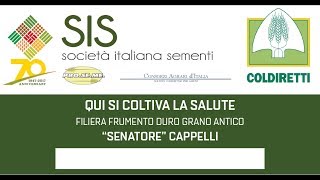 LA GIORNATA DEI SEMI ANTICHI SIS CELEBRA IL quotSENATOREquot CAPPELLI  70 ANNI DI SIS [upl. by Felita]