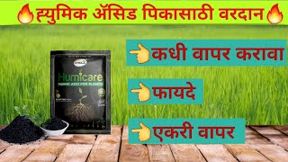 humic acid use in agriculture  best humic acid fertilizer  पिकातील पांढर्‍या मुळीची वाढ होण्यासाठी [upl. by Corrianne]