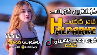 خۆشترین گۆرانی تیک تۆک مەستم کاکە مەستم قادر گاگلی Xoshtrin Gorani Halparke 2023 tiktok [upl. by Aicela]