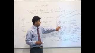 All about Eukaryotic cell By Dr UC Pachouri Hindi [upl. by Niltak169]