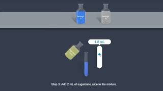 Sucrose Fehling test [upl. by Duarte]