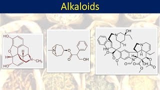 Part 1 Alkaloids intro and classification [upl. by Wimsatt]