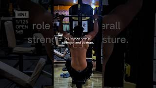 Sigma man back workout 💪😍 attitude shorts short gym creator explore edit motivation [upl. by Htinnek]