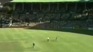 Allan Border 127 Australia v West Indies 198485 World Series Cup [upl. by Esnofla954]