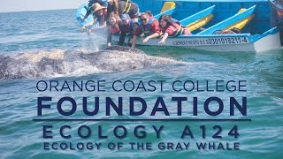 ORANGE COAST COLLEGE FOUNDATION Ecology Of The Gray Whale [upl. by Bernadene908]