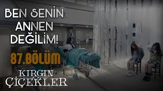 Defne Eylül ve Cemre organ mafyasının elinde  Kırgın Çiçekler 87Bölüm [upl. by Hogan]