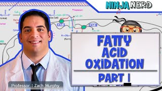 Metabolism  Fatty Acid Oxidation Part 1 [upl. by Artinad]