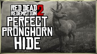 HOW TO GET A PERFECT PRONGHORN HIDE  RED DEAD REDEMPTION 2 PRISTINE PRONGHORN HUNT 3 STAR [upl. by Terriss]