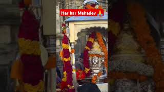 Kedarnath kapat closingharharmahadev kedarnathtripshortsfeed shortsvideo viralvideo [upl. by Daffodil]