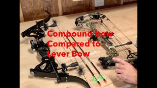 Compound Bow vs Lever Bow [upl. by Suiravad836]