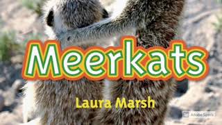 National Geographic Kids Readers  Meerkats [upl. by Dorca]