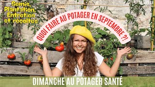 QUOI FAIRE AU POTAGER EN SEPTEMBRE  potager jardinage garden gardening septembre [upl. by Nosmirc750]