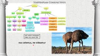 Stappenplan coniunctivus  Latijn van Magister Weel deel 42 [upl. by Eneli495]