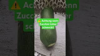 Die Bitterstoffe Cucurbitacin können giftig sein zucchini bitterstoffe cucurbitacin giftig [upl. by Wake]