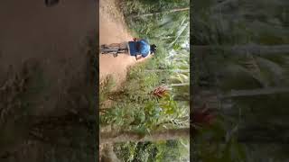 Cycling 🚴‍♂️🇱🇰 cycletravel bicycletour ebiketour cycletour nature bicycletravel Srilanka🇱🇰 [upl. by Madi]