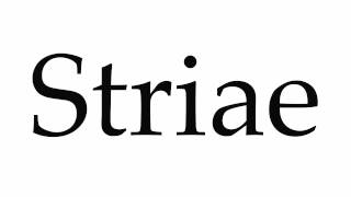 How to Pronounce Striae [upl. by Eadas]