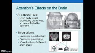 Attentional Blink and Change Blindness [upl. by Indyc]