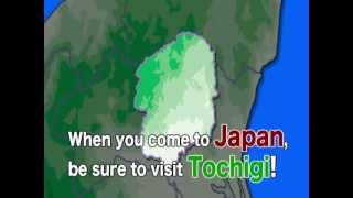 Tochigi Prefecture Promotional Video [upl. by Llerrahs]