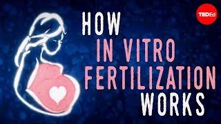 How in vitro fertilization IVF works  Nassim Assefi and Brian A Levine [upl. by Nare]