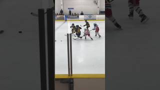 Blind Ref🤣sports hockey viral [upl. by Buffy]