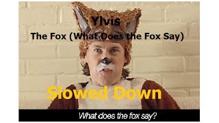 Ylvis The Fox What Does the Fox Say  Slowed Down [upl. by Akitan]