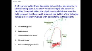 Anatomical basis of pleural referred pain [upl. by Gut678]