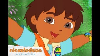 Go Diego Go Theme Song  Nick Jr  Nick Animation [upl. by Enyt]