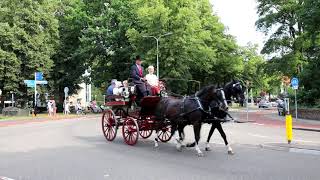 43e Rijtuigendag feestweek Santpoort zaterdag 27 juli 2019 [upl. by Yboj601]