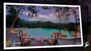 The Windflower Resort and Spa  Bandipur [upl. by Dwane75]