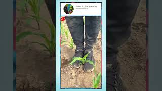 Bulb Planter Tool  Plant Shifter  Time Saving Tool  Agriculture Farming Techniques [upl. by Hoes]