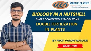 Double Fertilization in plants [upl. by Salmon]