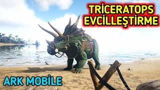 İTİCİ GÜÇ TRİCERATOPS  TRİCERATOPS EVCİLLEŞTİRME  ARK Survival Evolved [upl. by Kandace]