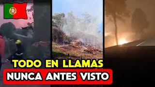 Incendios alcanzan niveles sin precedentes [upl. by Bergmans]