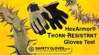 Worlds Best Thornproof Gardening Gloves  HexArmor 3092 [upl. by Lesly]