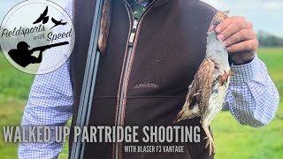 Partridge Shooting  Walked up Partridge with the Blaser F3 Vantage  Lots of Birds  Eley Hawk [upl. by Nednil]