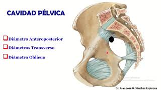 DIAMETROS PÉLVICOS Pelvimetría Ósea [upl. by Tahmosh389]