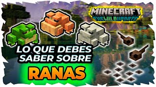 LAS RANAS DONDE ENCONTRARLAS Y COMO DOMESTICARLAS  Minecraft 119 Bedrock  Java The Wild Update [upl. by Galatea757]