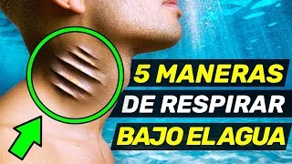 5 Maneras Increíbles de Respirar Bajo el Agua [upl. by Derina445]