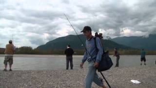 Sockeye Salmon fishing Fraser River [upl. by Ellga33]