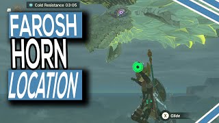 Where To Find Faroshs Horn In Zelda Tears Of The Kingdom [upl. by Kcitrap441]