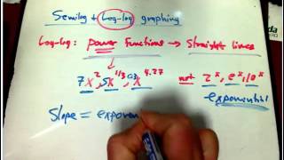 Loglog graphing slopes and exponents [upl. by Esmerelda863]