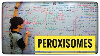 Peroxisomes  Structure and Function Of Peroxisomes along with mcqs 1st year biology  Unit Of Cell [upl. by Larual]