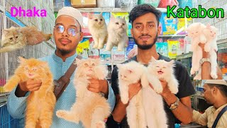 Cat price in Bangladesh  Katabon Animal market in Bangladesh  Persian cat price in Bangladesh [upl. by Low]