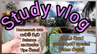 Study vlog📚Homework කරන නිසා පාඩම් කරන්න වෙලා නැද්ද😒Grade 6789 අයට ලේසියෙන් පාඩම් කරන්න tips🌈️ [upl. by Nwahsuq]