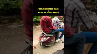 World Dangerous Snake Attack On Scooty Rider 🤬 shorts viralshort trendingshorts shortsfeed [upl. by Veradia]